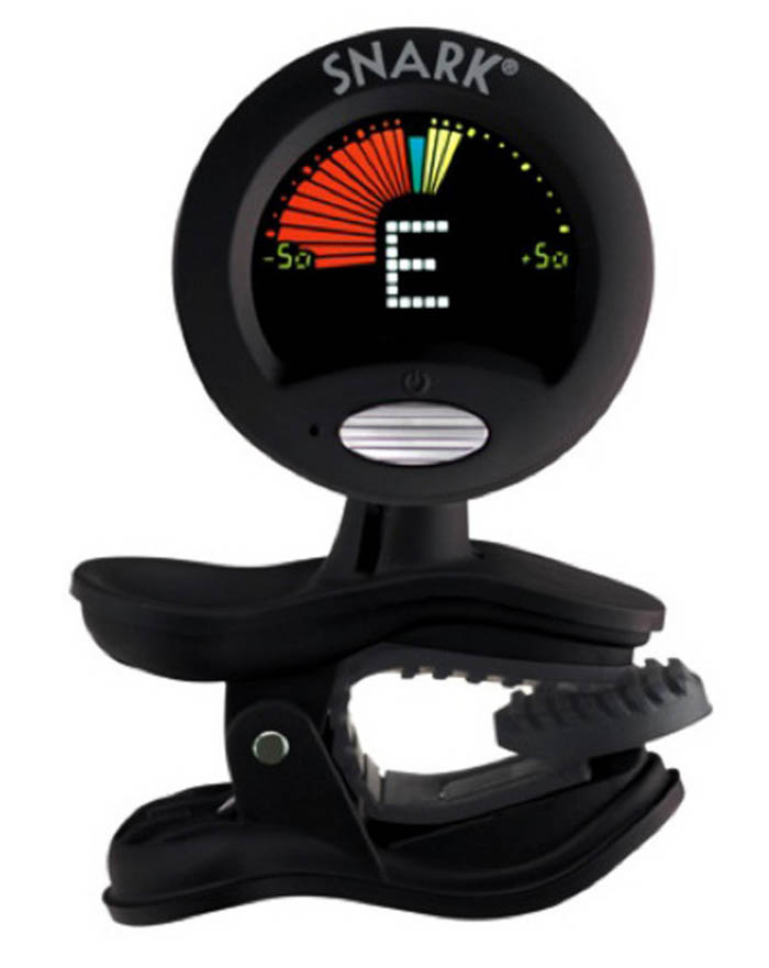 5 String Fretless Bass Guitar Tuner and Gig Bag Bass Guitars